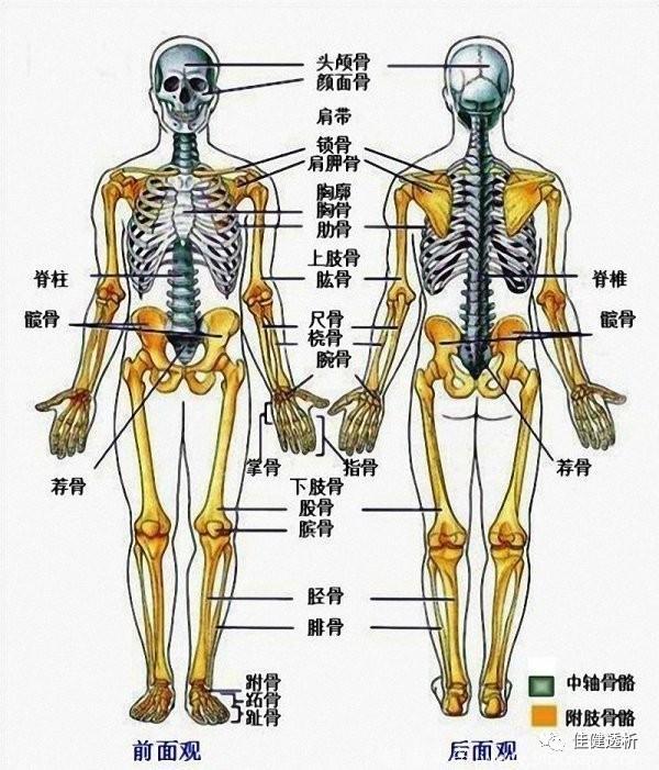 血液透析有哪些远期并发症？