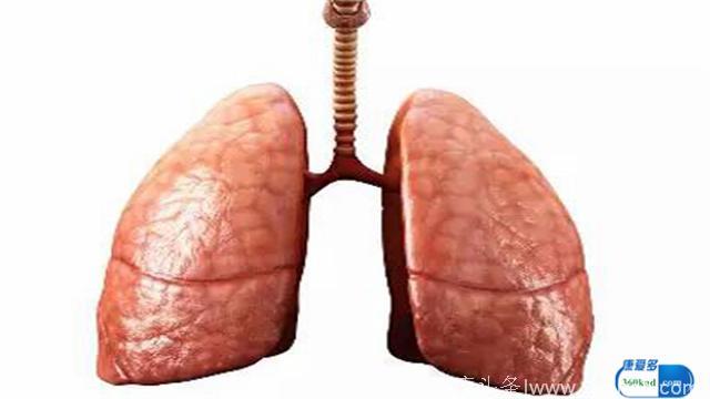 小康说药：噻托溴铵粉吸入剂可用于治疗慢性阻塞性肺疾吗？该怎么使用？