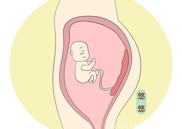 胎儿每天在做什么？第三条做不好，胎儿会受委屈的
