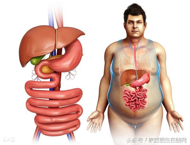 肝脏长的脂肪太多，有3大意想不到的危害！