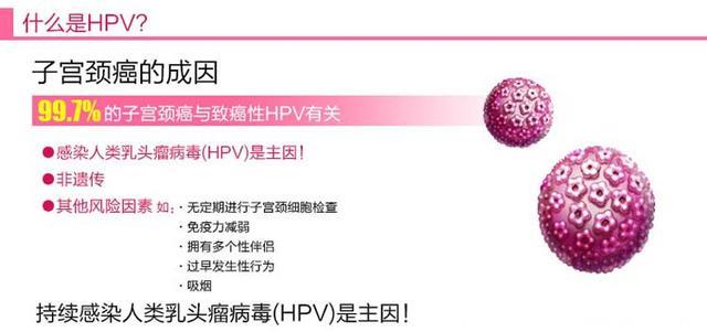 宫颈癌的曙光：内地首个HPV疫苗即将上市