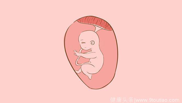 胎宝宝在孕妈的肚子里忙些什么呢？可比你想象的有趣多了
