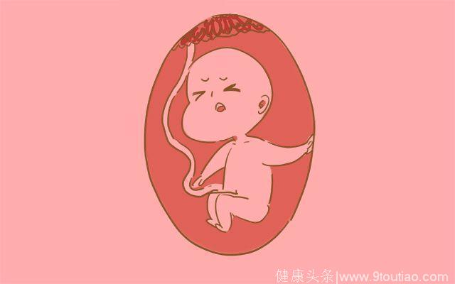 胎宝宝在孕妈的肚子里忙些什么呢？可比你想象的有趣多了