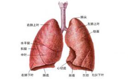 儿童秋季哮喘的麻烦事