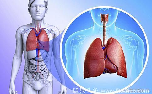 慢性支气管炎的症状及表现，如何与支气管扩张、哮喘、肺结核、肺癌鉴别？