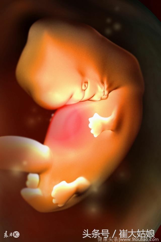 24周大排畸：胎儿左心室有强光点，是心脏病吗？产检一波三折，这种焦虑只有准妈妈自己知道
