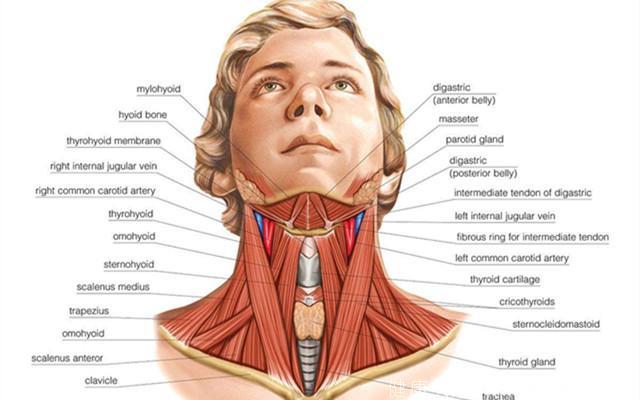 颈椎病：颈椎曲度消失了，严重吗？