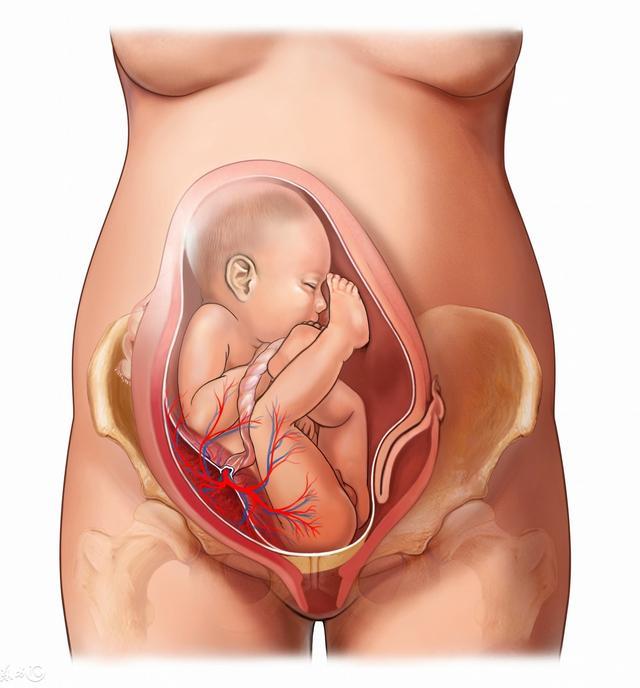 子宫下垂的主要问题是什么