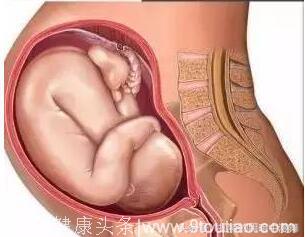 怀胎十月，你知道胎儿在肚子里的姿势是什么样子的吗？