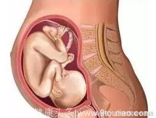 怀胎十月，你知道胎儿在肚子里的姿势是什么样子的吗？