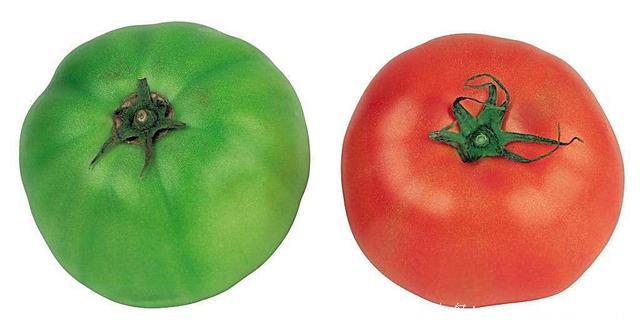 都知道西红柿可以美容养生，但吃法很有讲究，吃的不好危害身体