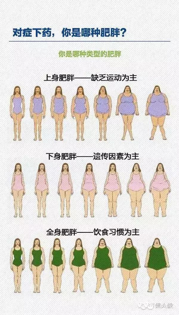 胖人如何正确的减脂减重