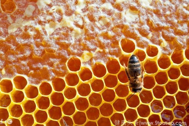 春季养生：多吃蜂蜜少吃肉
