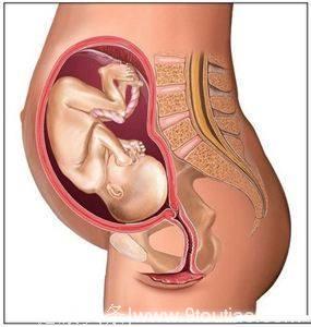 怀胎十月的禁忌，孕妈必须要知道了，可别伤害到孩子