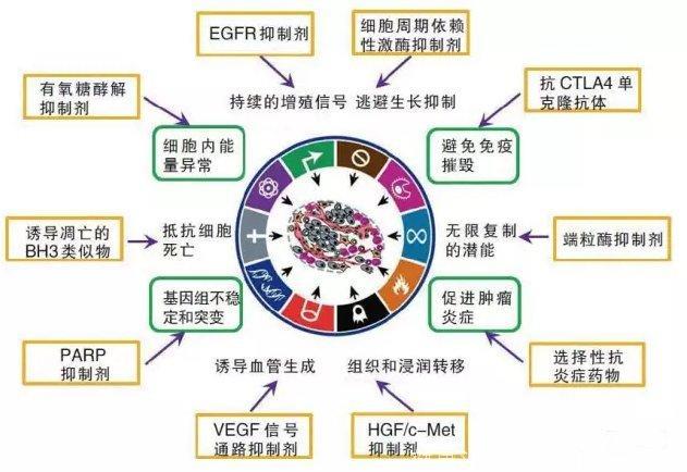 癌症为何会成为不治之症，这些肿瘤信号有助于肿瘤自查和诊治！