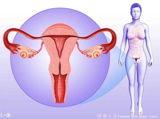 卵巢早衰老10岁 针灸调月经是治疗关键