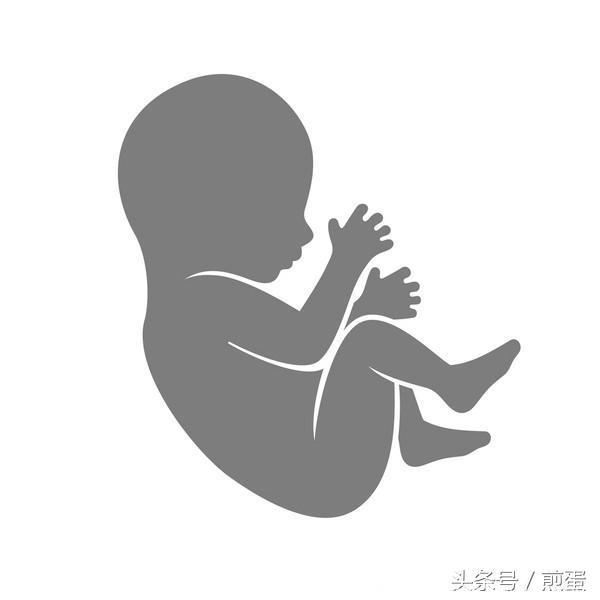 胎儿在子宫里会喝自己的尿