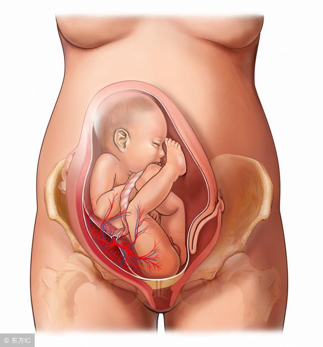 孕期一定要小心这6件事，可能导致胎儿畸形