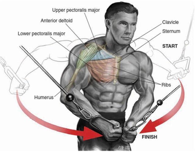 5个炸裂的胸部训练，让你练出施瓦辛格般的胸肌！