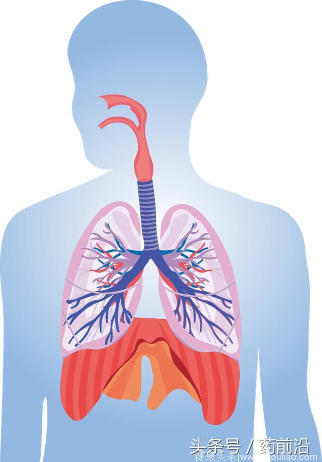 肺癌疾病的危害有多大？什么是肺癌患者的招募？