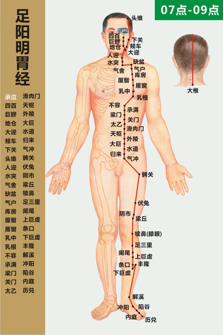 人体穴位大全——下巨虚穴：小腹痛、泄泻、痢疾、乳痈、下肢痿痹