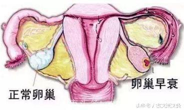 女人如花，卵巢、子宫、月经 艾灸护“三宝”，容颜永不老！