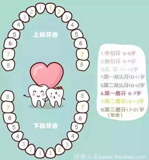 宝宝遇上换牙期 如何护理牙齿
