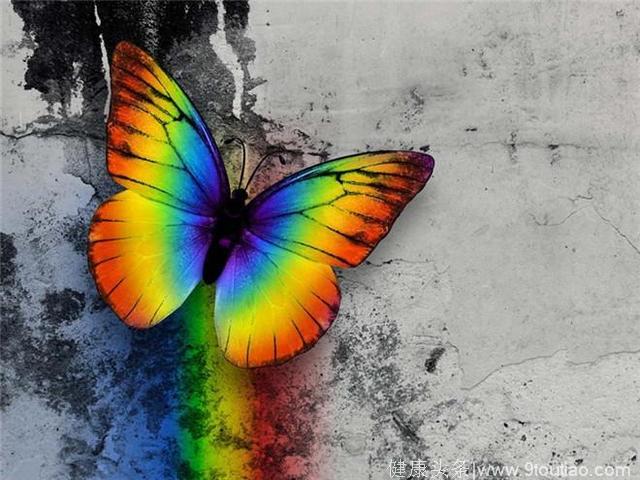 心理测试：选择最漂亮的蝴蝶，测你新年会有什么好运气
