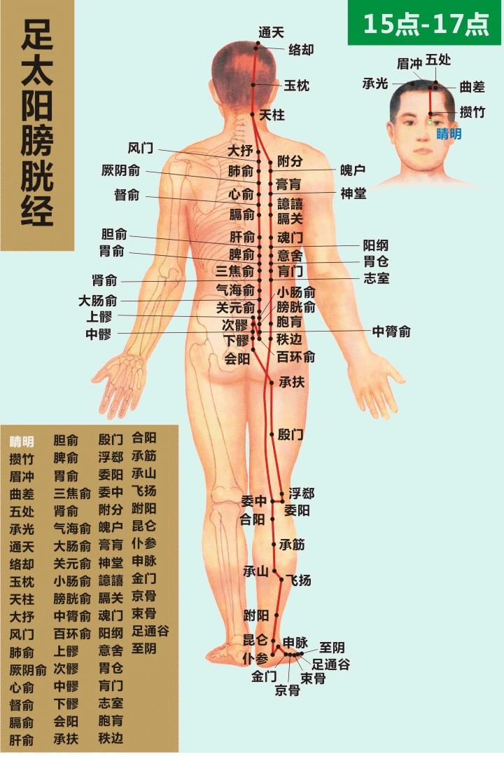 人体穴位大全——下髎穴：腰痛、腹痛、便秘、盆腔炎、子宫内膜炎