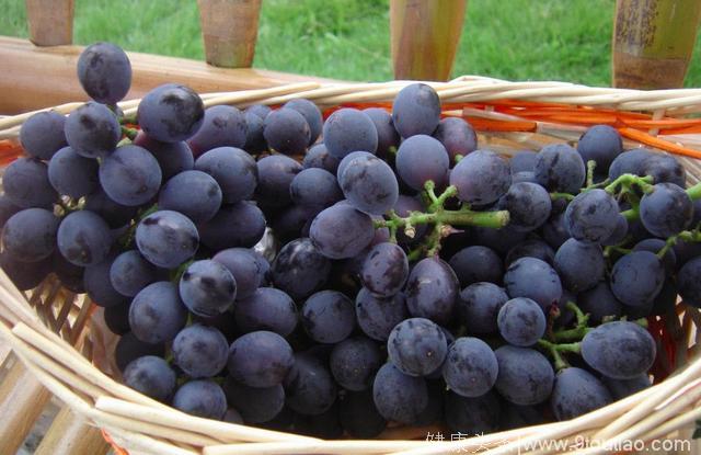 紫葡萄的食疗作用