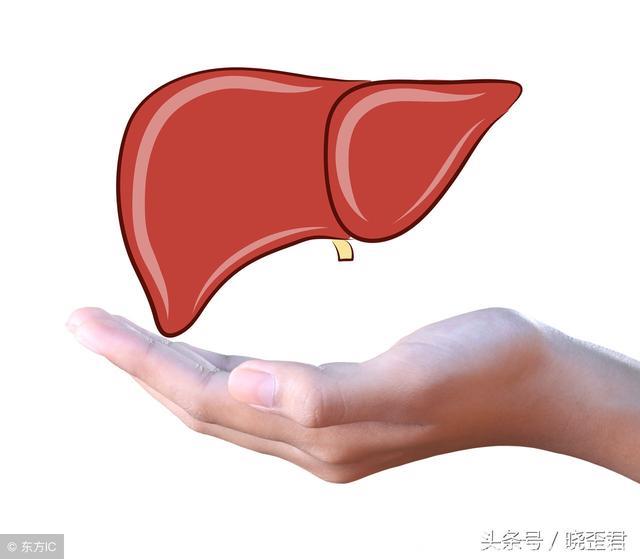 养肝就是养命，护养肝脏的食物都有哪些？