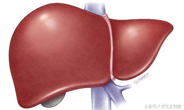 脂肪肝者，睡前有“三不要”，警惕四个肝脏“硬化”信号，莫忽视