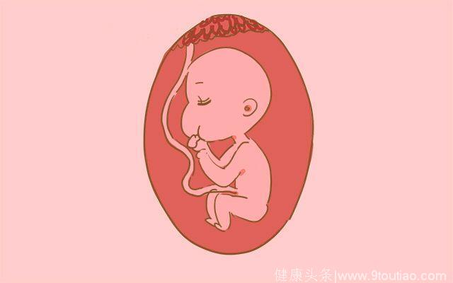 做四维时胎儿在肚子里会做这几件坏事，让孕妈又开心又担心