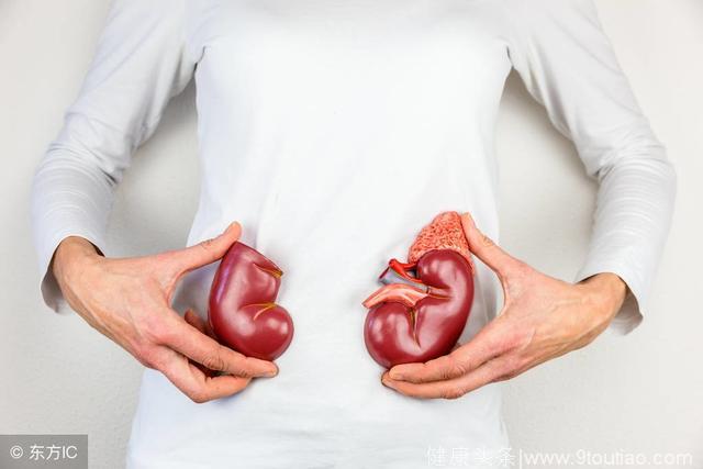 脂肪肝会降低肾功能吗？