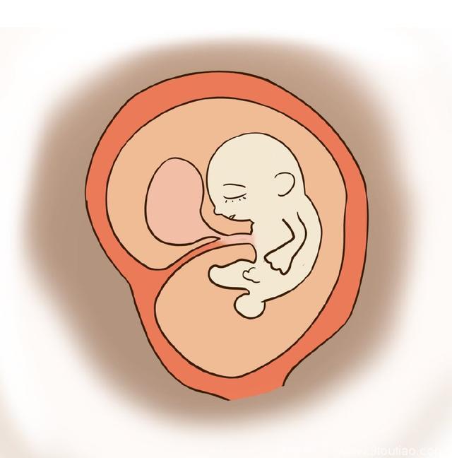 孕期有这三个表现，是胎儿在提示你该喝水了