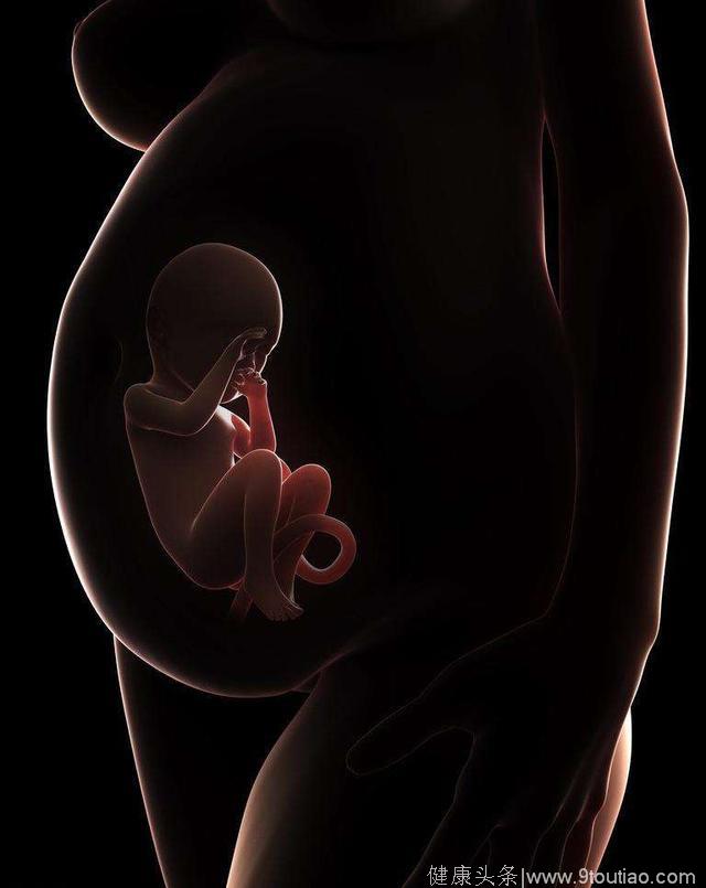 怀孕真的会做胎梦？做过胎梦的妈妈们都来说一说胎梦的神奇