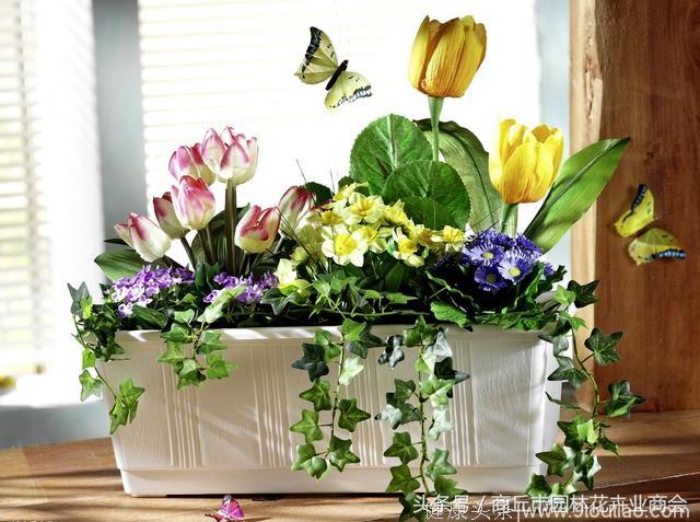 这几种花，家里千万别养！香味会引起过敏、失眠，误食能导致死亡