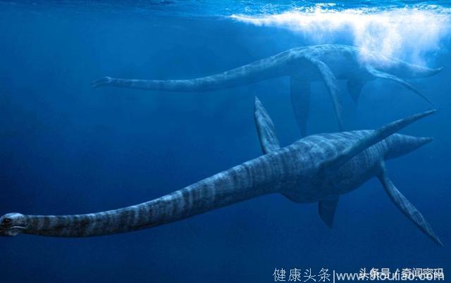生活在2.4亿年前的海洋巨兽，因为得了关节炎，最后痛苦的死掉了