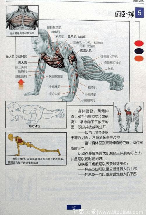 最全的健身图解，大神小白都适用，有了它不用请私教，赶快收藏！