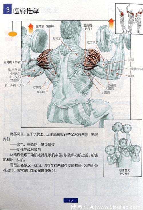 最全的健身图解，大神小白都适用，有了它不用请私教，赶快收藏！