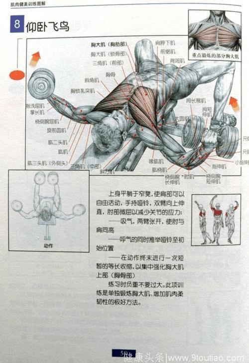 最全的健身图解，大神小白都适用，有了它不用请私教，赶快收藏！