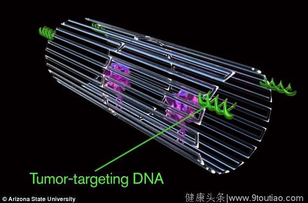 Nature子刊：DNA纳米机器人精准靶向癌症