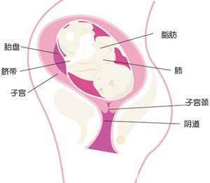 如果孕妈有这5种表现，说明胎儿已经入盆，离出生不远了
