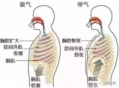 武清中医院针灸康复科健身保健操之——腹式呼吸法