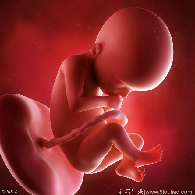 怀孕四个月胎儿五官已经形成，饮食增加铁的摄入，对胎儿很重要