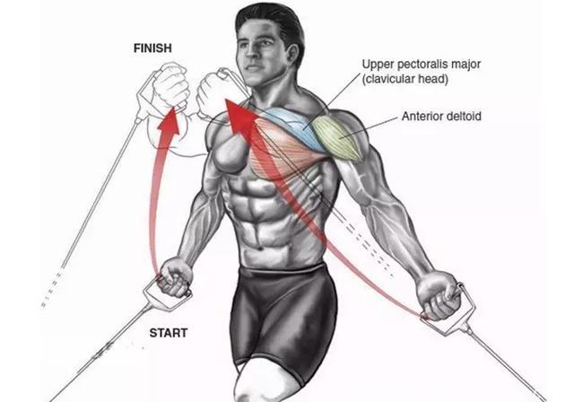 练出完美胸肌的9个最佳胸肌训练图，看看你做对了几个？