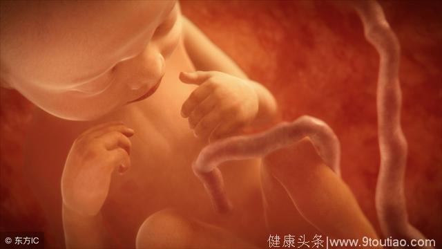 怀孕以后，如果不想胎儿脐带绕颈，做到五个步骤就够了！