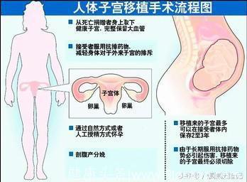 中国首例子宫移植成功，以后男性也能生孩子？女人或将不再受苦！