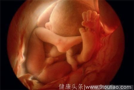 因疏忽致怀孕8个月胎死腹中，被医生怒批不上心，孕妇失声痛哭！