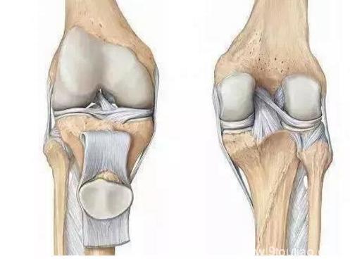 医院专家：什么是膝关节炎，膝关节运动的几个小方法，看后收藏吧
